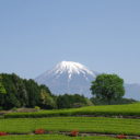 笹場からの富士山